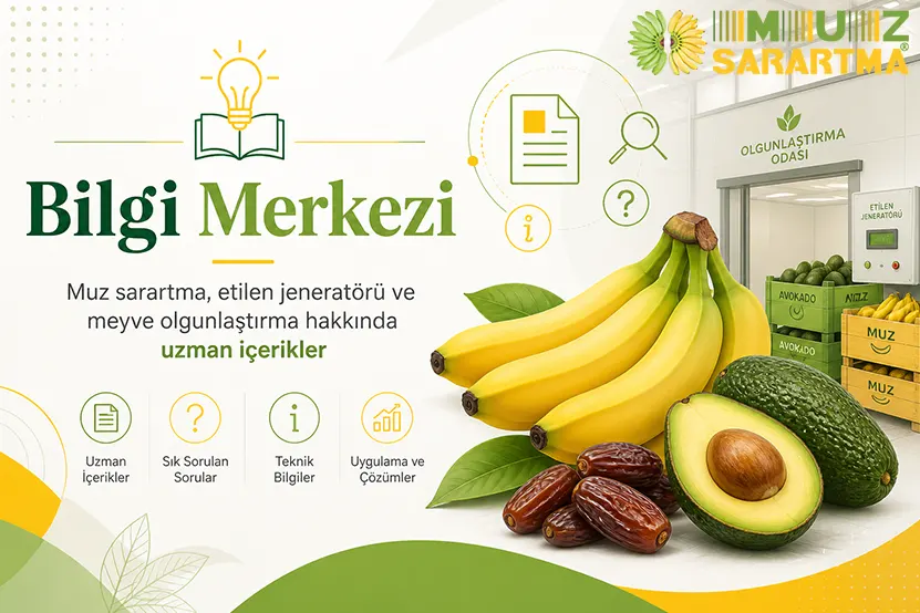 Hurma neden tam olgunlaşmaz?